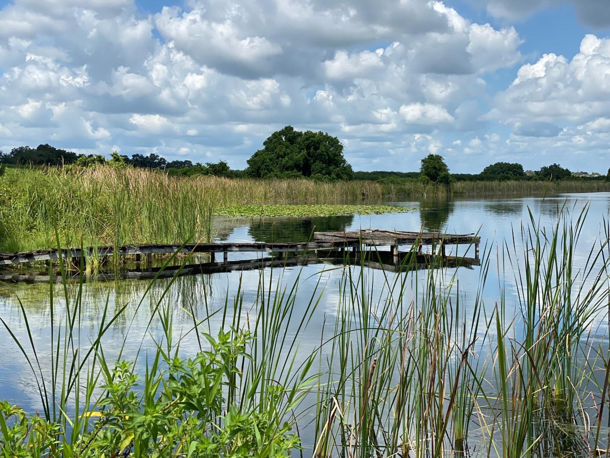 The Scandinavian Contemporary Blauw Lake Alfred Екстер'єр фото